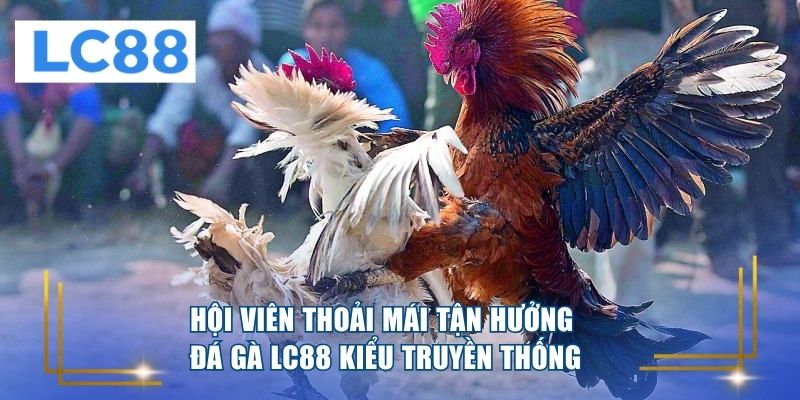 Hội viên thoải mái tận hưởng đá gà LC88 kiểu truyền thống 